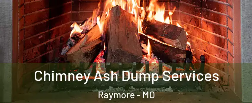  Chimney Ash Dump Services Raymore - MO