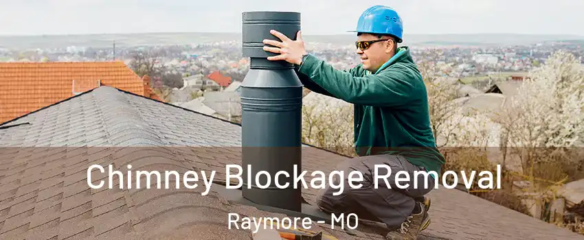  Chimney Blockage Removal Raymore - MO