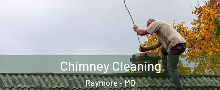  Chimney Cleaning Raymore - MO