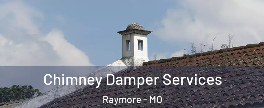  Chimney Damper Services Raymore - MO