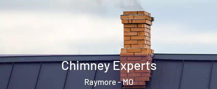  Chimney Experts Raymore - MO