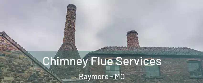  Chimney Flue Services Raymore - MO