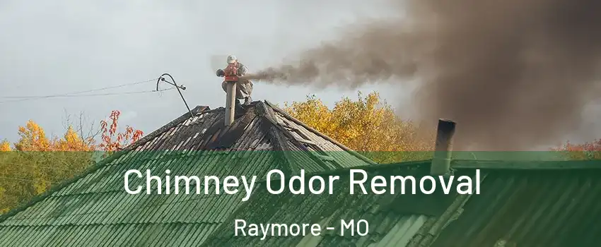  Chimney Odor Removal Raymore - MO