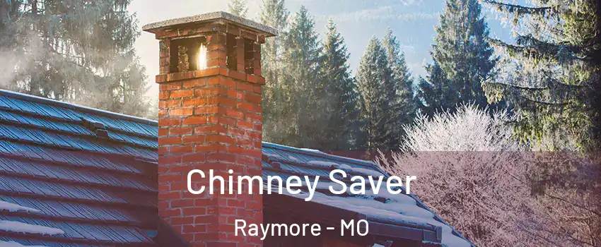  Chimney Saver Raymore - MO