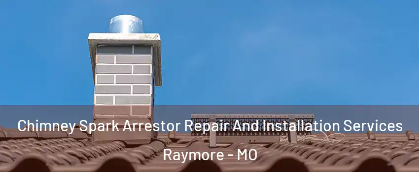  Chimney Spark Arrestor Repair And Installation Services Raymore - MO