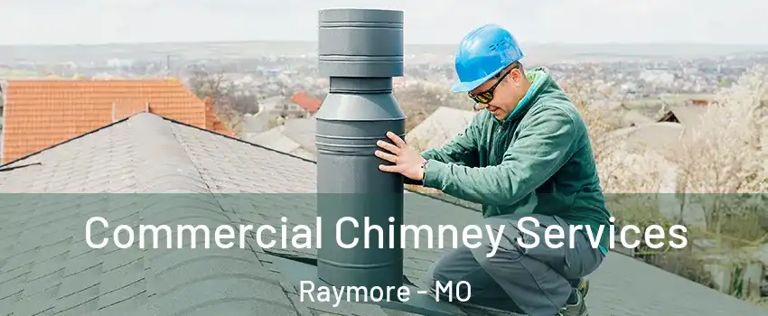  Commercial Chimney Services Raymore - MO