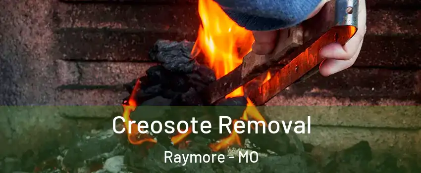  Creosote Removal Raymore - MO
