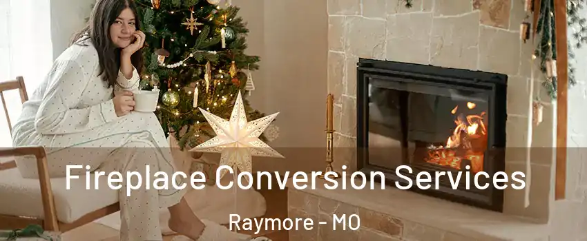  Fireplace Conversion Services Raymore - MO
