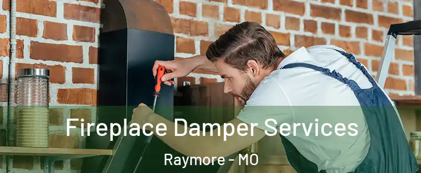  Fireplace Damper Services Raymore - MO