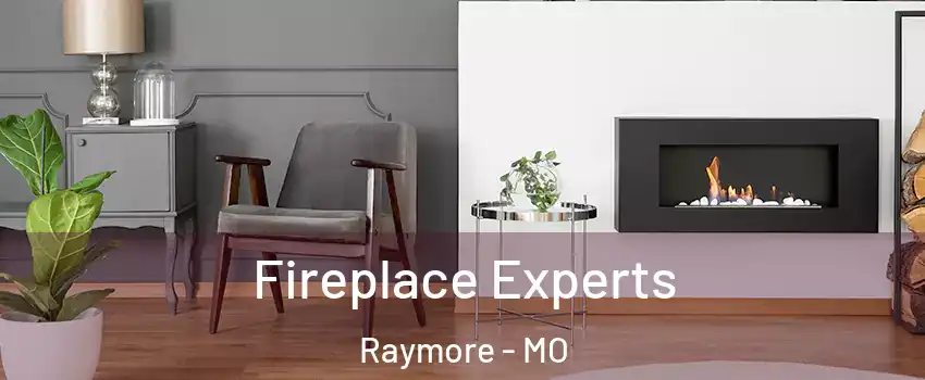  Fireplace Experts Raymore - MO