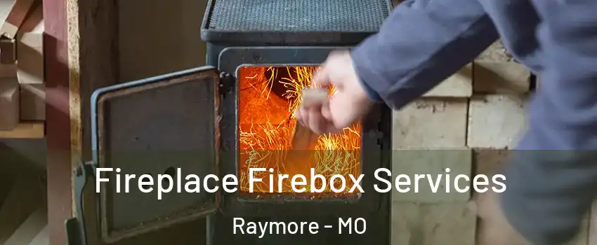  Fireplace Firebox Services Raymore - MO