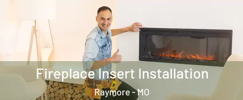  Fireplace Insert Installation Raymore - MO