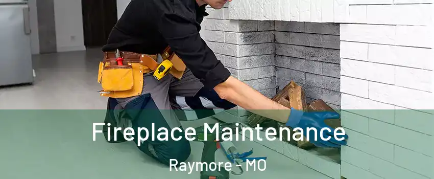  Fireplace Maintenance Raymore - MO