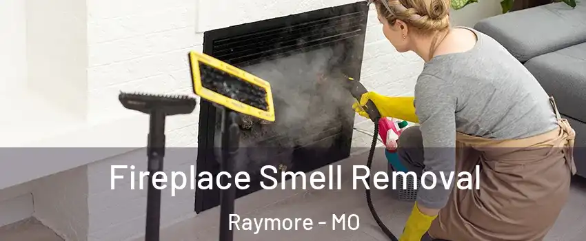  Fireplace Smell Removal Raymore - MO