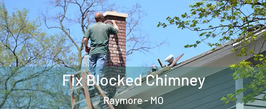  Fix Blocked Chimney Raymore - MO