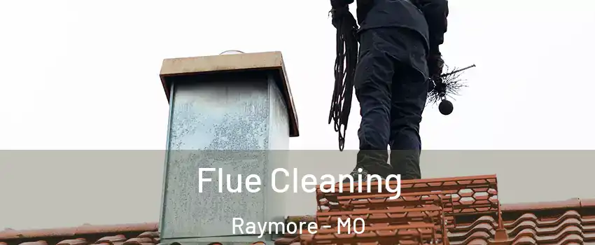  Flue Cleaning Raymore - MO