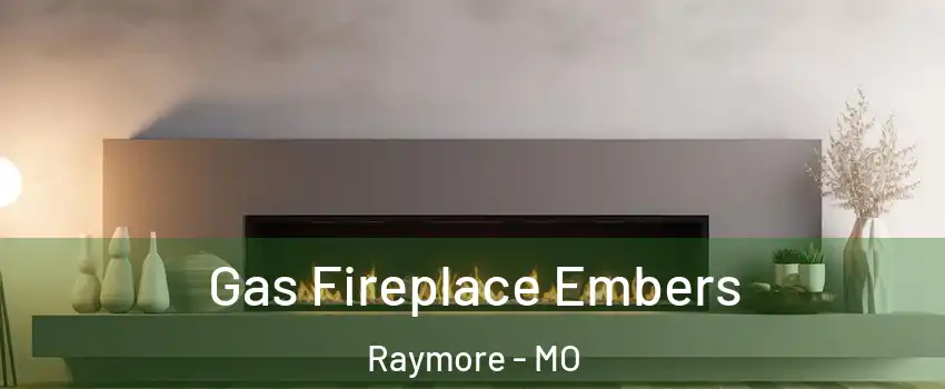  Gas Fireplace Embers Raymore - MO