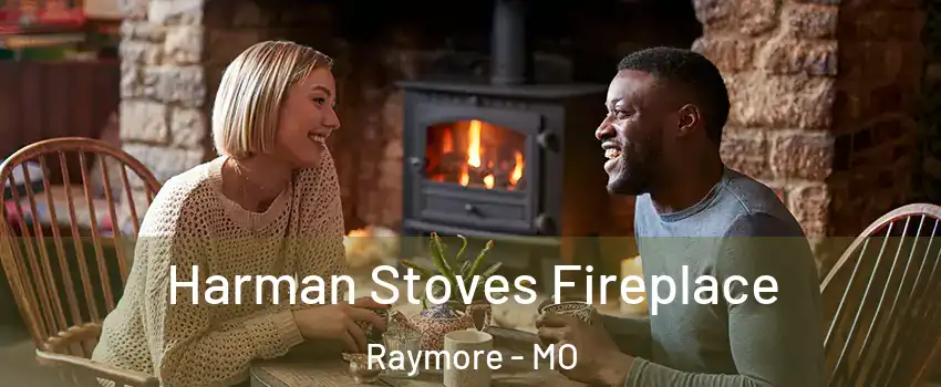  Harman Stoves Fireplace Raymore - MO