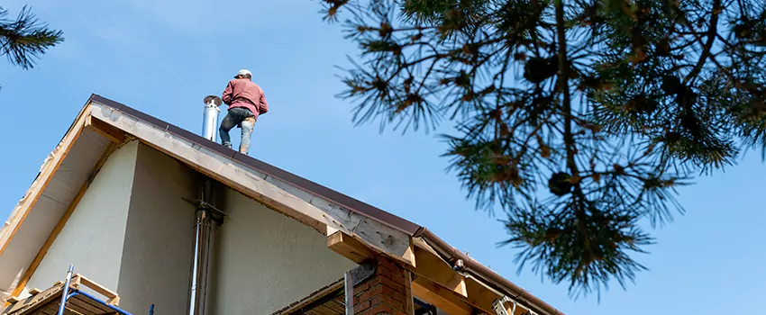 Birds Removal Contractors from Chimney in Raymore, MO