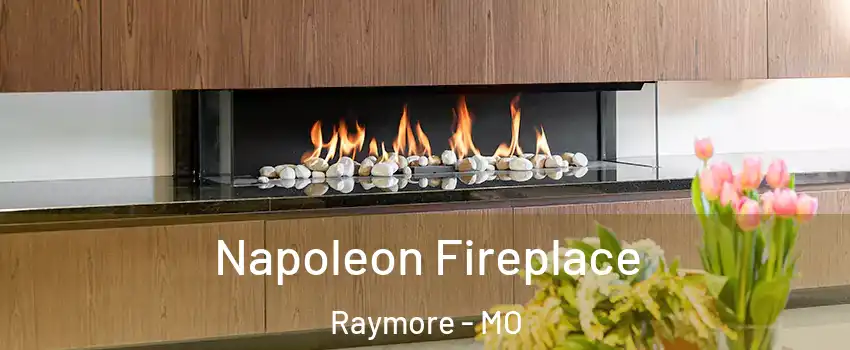  Napoleon Fireplace Raymore - MO