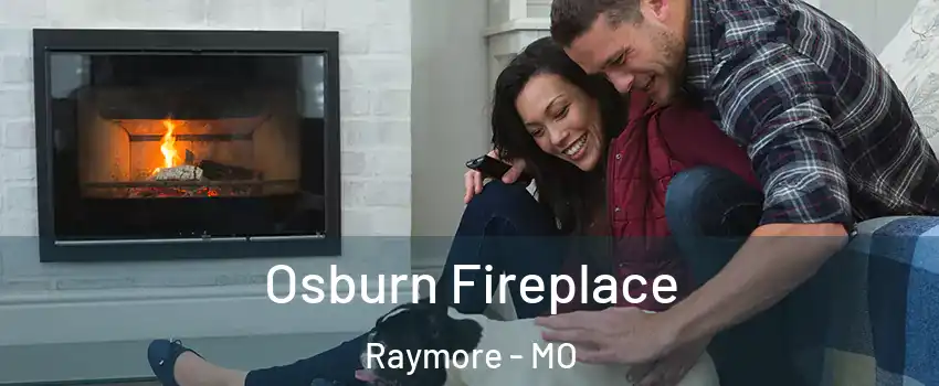  Osburn Fireplace Raymore - MO