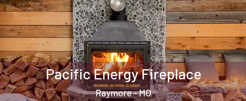  Pacific Energy Fireplace Raymore - MO