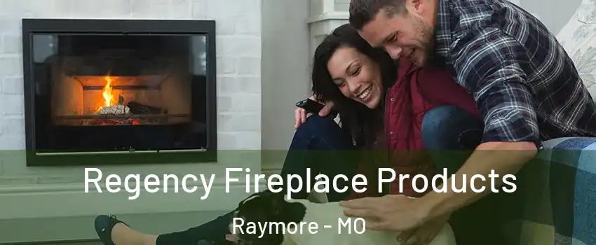  Regency Fireplace Products Raymore - MO
